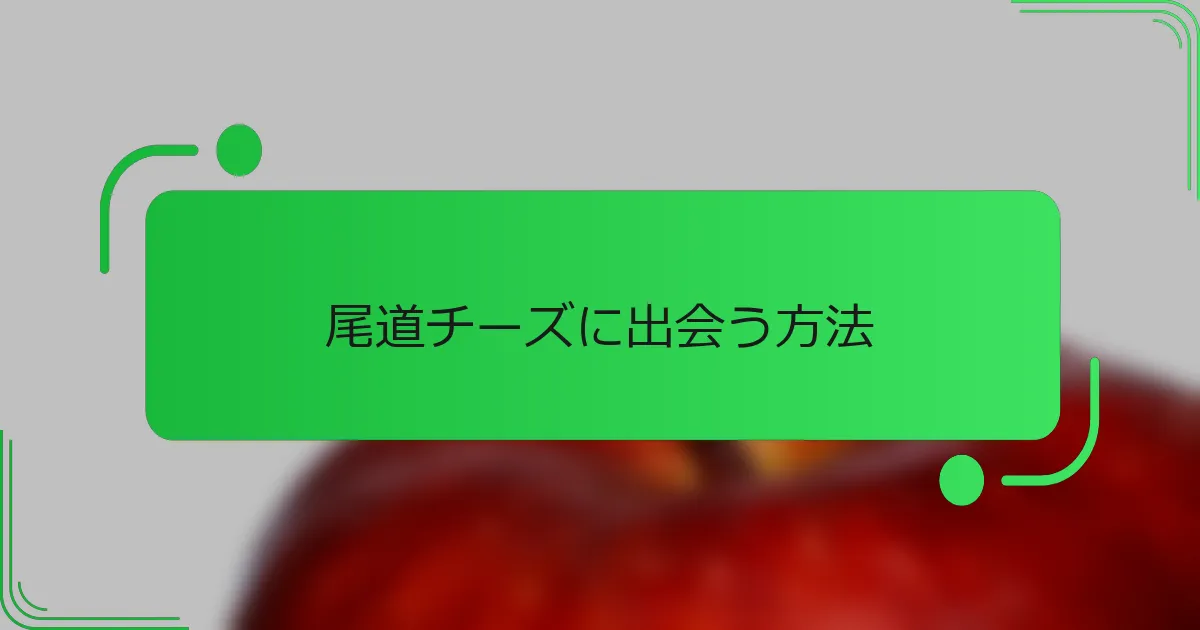 尾道チーズに出会う方法